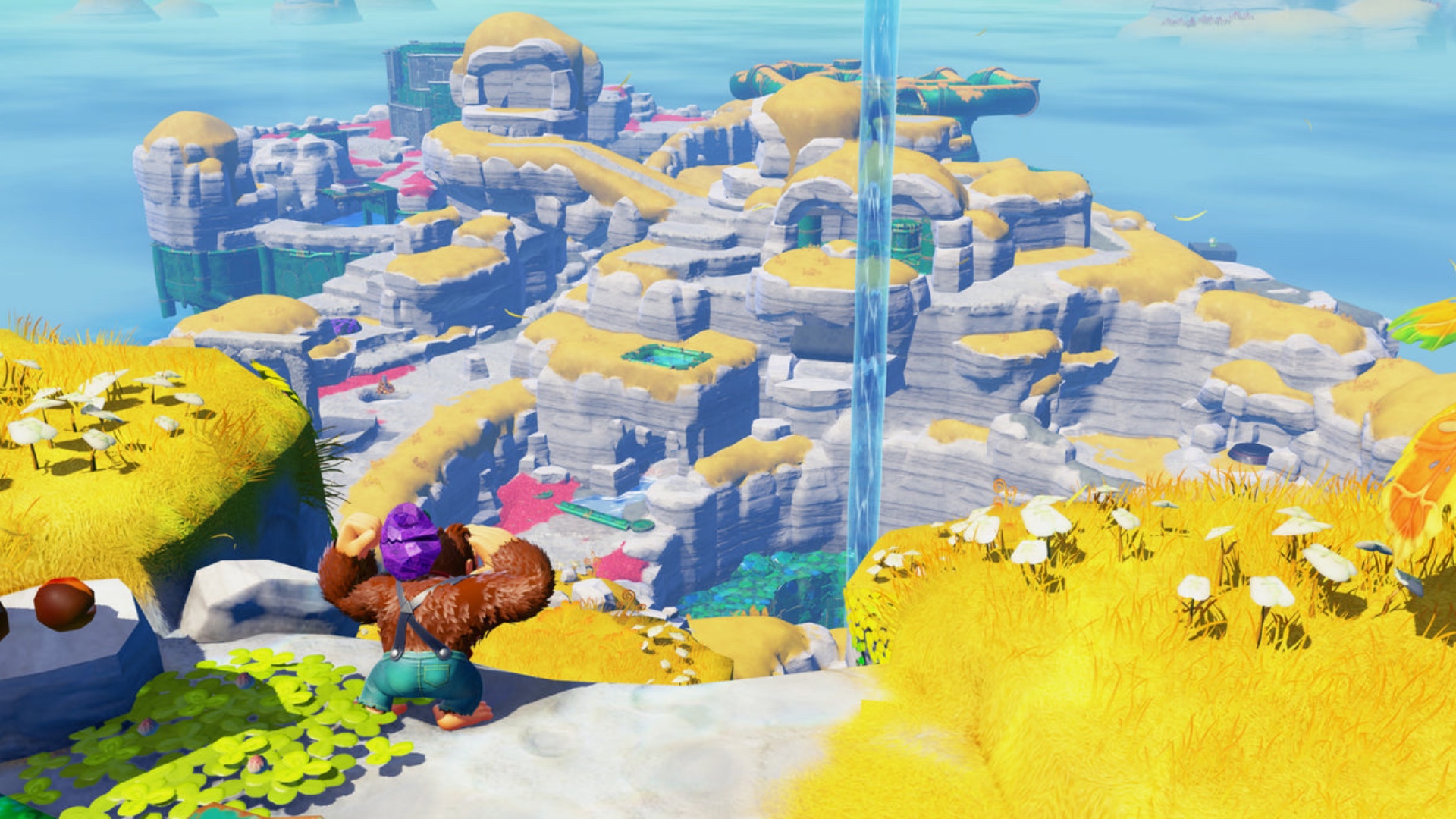 Dk Bananza world