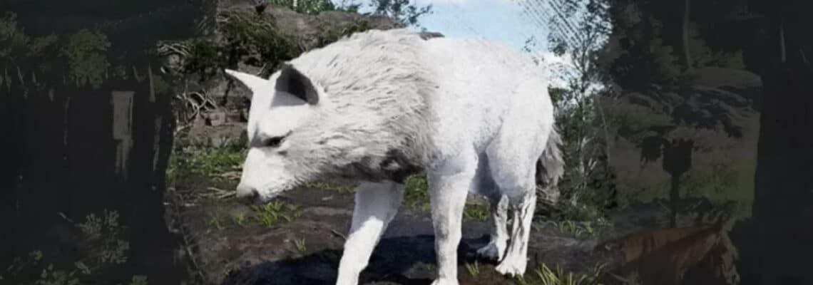 crimson desert silver fang