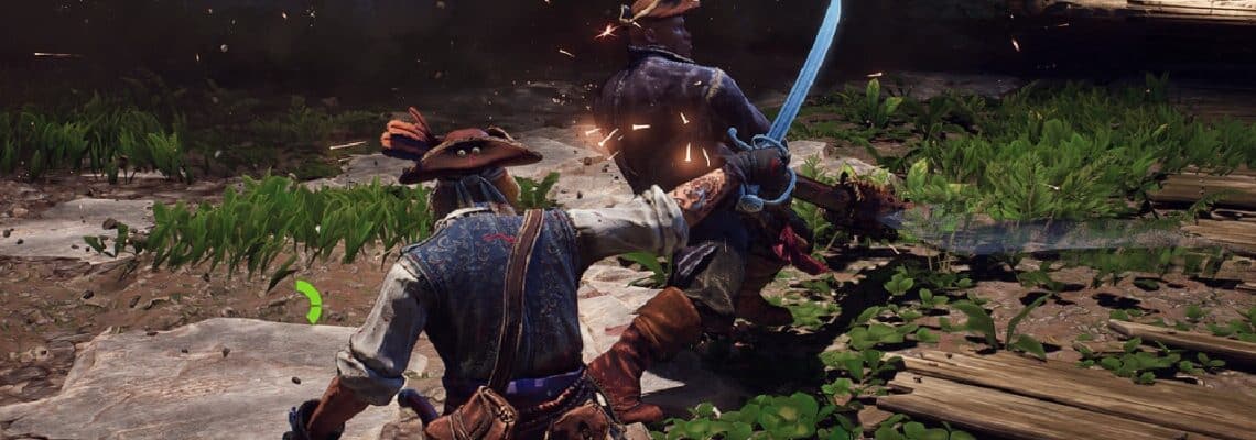 windrose 500k sales