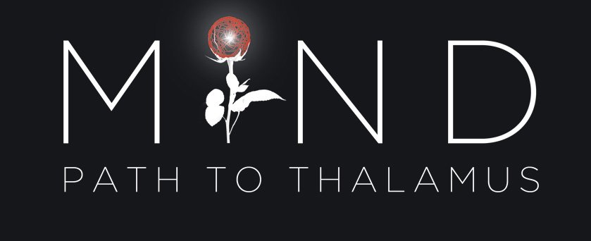 MIND: Path to Thalamus
