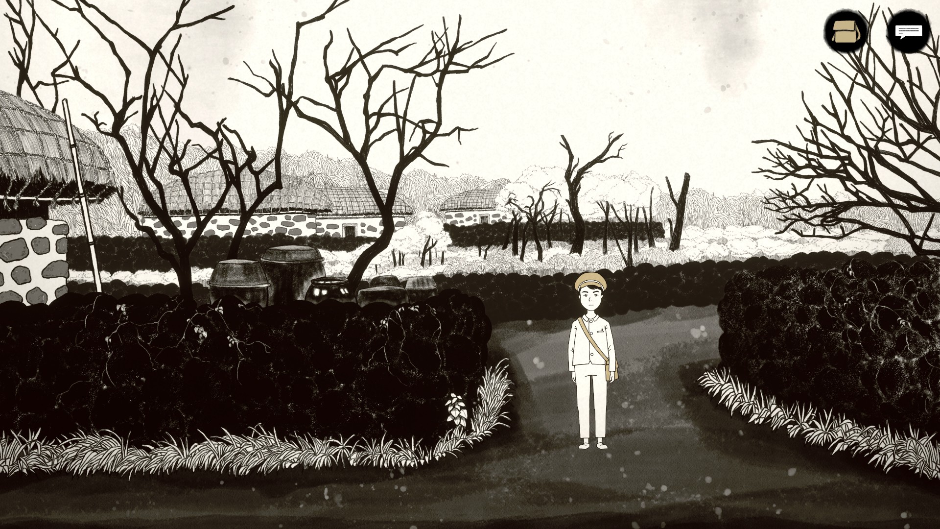 Unfolded: Camellia Tales